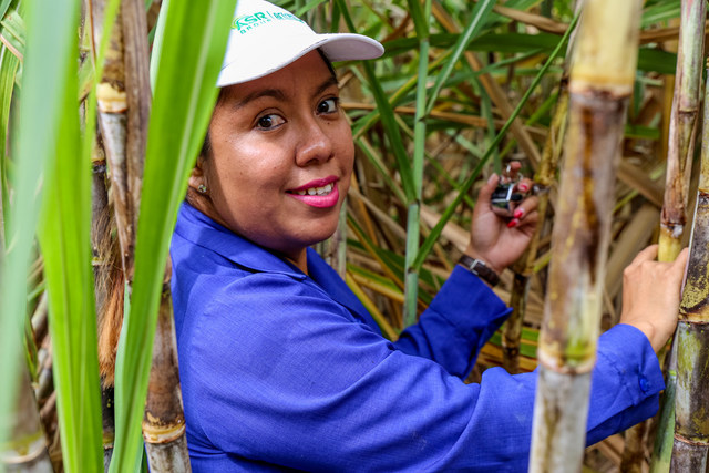 A Global Sugarcane Company